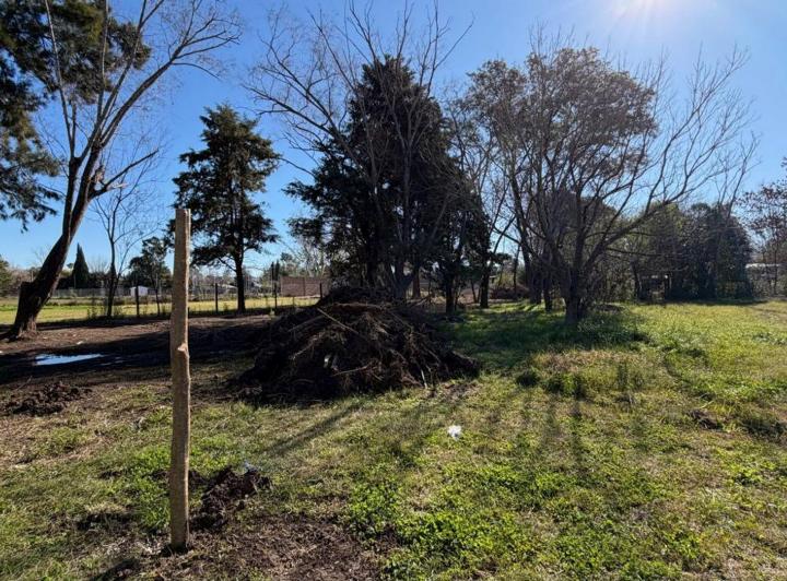 Terreno · 1200m²