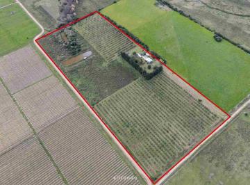 Campo · 220ha · Chacra en Venta 7,3 Ha - Las Brujas, Canelones