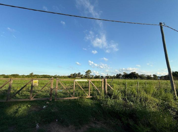 Campo · 4ha