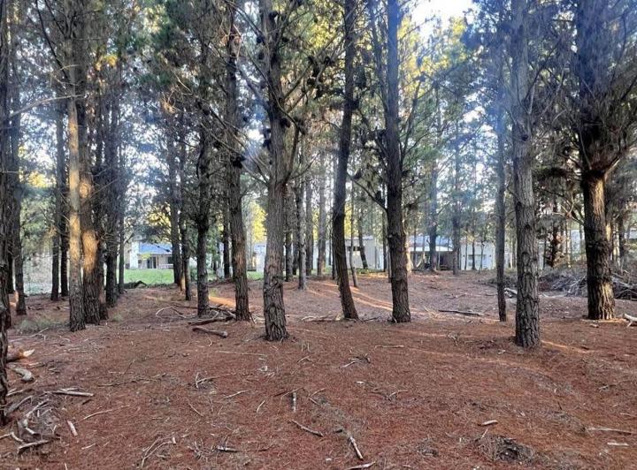 Terreno · 900m²