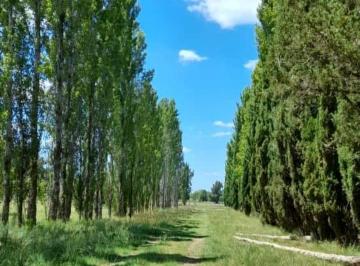 Foto · Venta Lote de 2000 m. Club de Campo La Amanecida