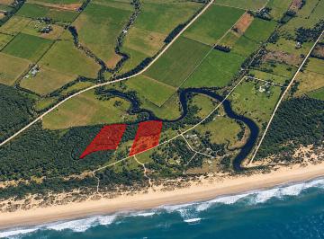 Campo · 5ha · Chacra en Venta en Punta Ballena