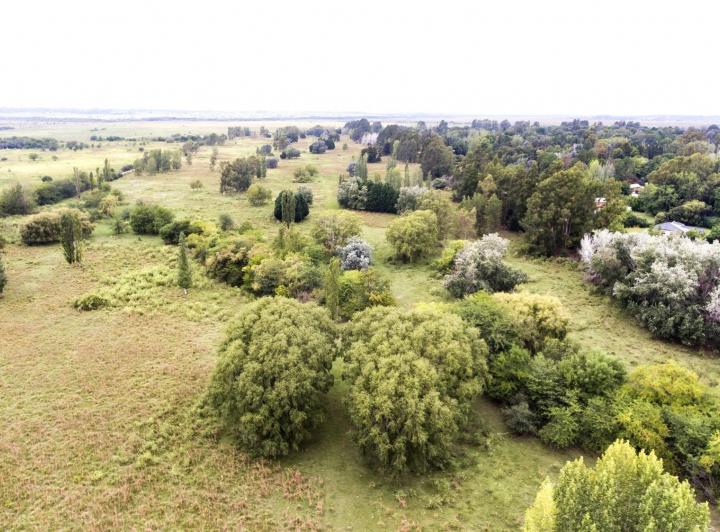 Terreno · 1000m²