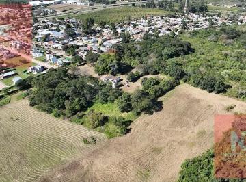 Campo · 130000m² · Campo de 13 Has en Los Nogales