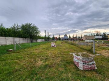 Foto · Venta Lote Tipas Blancas - Yei Pora Tortuguitas
