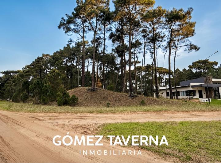Terreno · 1134m²