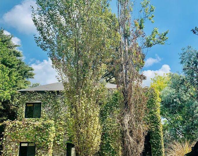 Casa · 8330000ha · 4 Ambientes · 2 Cocheras