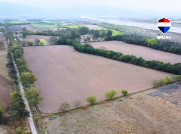 Campo · 8ha