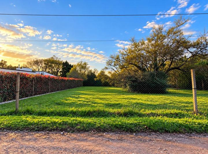 Terreno · 446m²