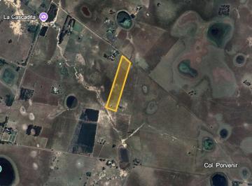 Campo · 5ha · Campo de 5 Has en Venta Colonia Porvenir