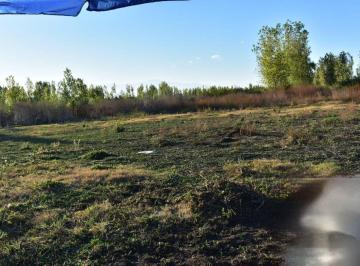 Terreno · 2000m² · Venta Terreno Capiz San Carlos Mendoza
