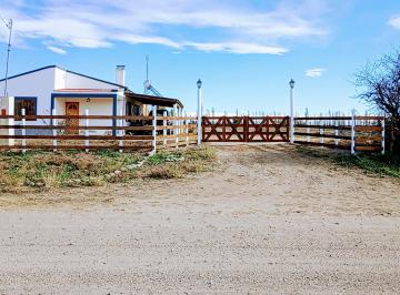 Campo de 6 ambientes, Capitán Montoya · Finca Llave en Mano 20 Ha San Rafael: Viñedos, Casas, Ford Ranger y Tractor