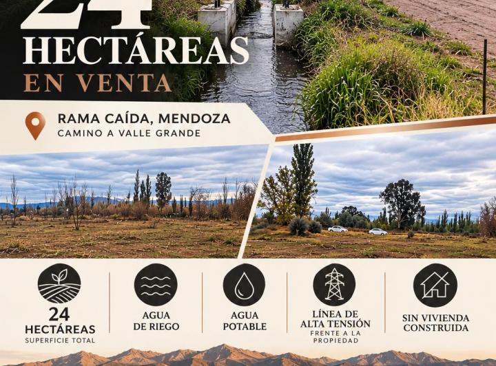 Terreno · 26ha