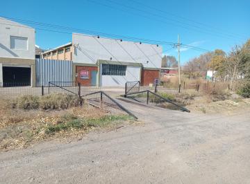 Bodega-Galpón de 5 ambientes, Cipolletti · Galpon con Abilitacion Taller