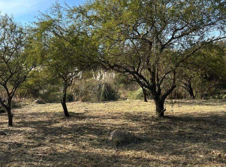 Terreno · 929m²