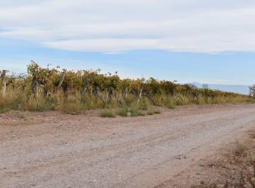 Terreno · 60m² · 3 Ambientes · 1 Cochera · Finca a La Venta San Martin