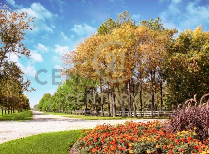 Terreno · 1070m²