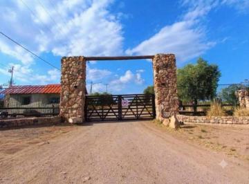 Terreno · 2000m² · Venta Lote La Magdalena Olivar Luján Mendoza