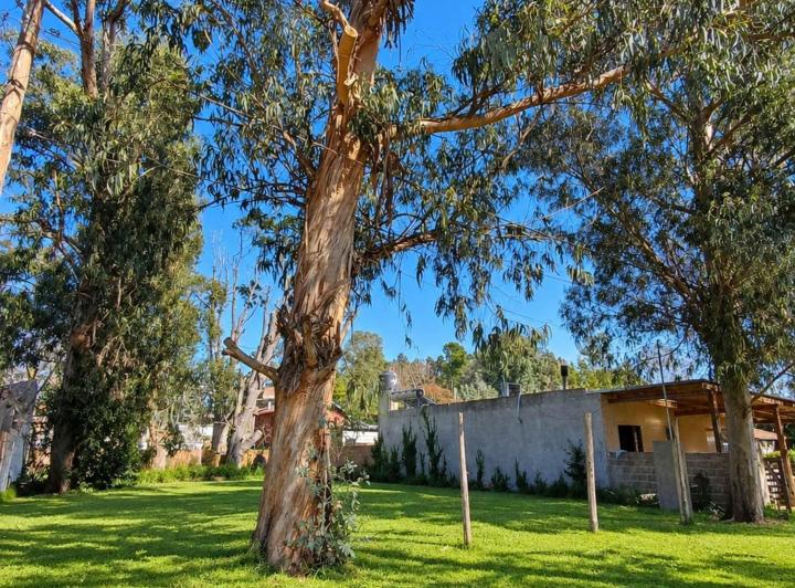 Terreno · 450m²