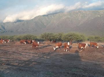 Terreno , San Fernando del Valle de Catamarca · Campo Agricola Ganadero con Feedlot en Catamarca