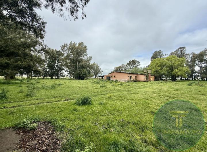 Campo · 155000m²
