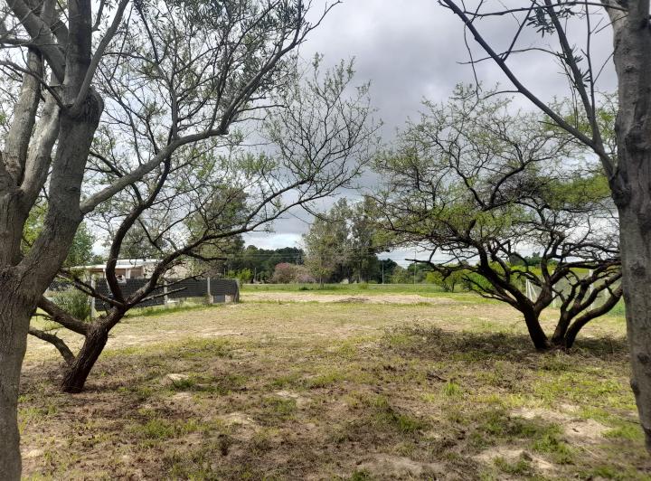 Terreno · 584m²