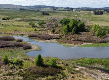 Campo · 17ha · 1 Ambiente · Venta Campo 17 Ha Sobre La Laguna del Sauce Punta del Este
