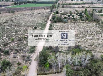 Campo · 24420m² · Finca Sobre Calle Los Olivos a m de Cubillos - Valle Grande