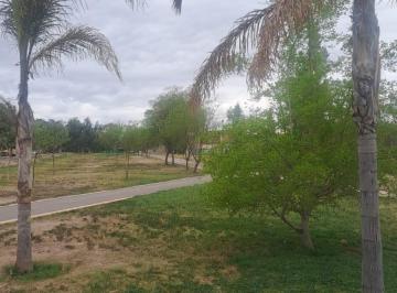 Departamento de 6 ambientes, Ciudad de Mendoza · Parque Central - Amplio