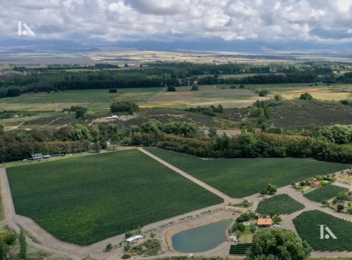 Campo · 6ha