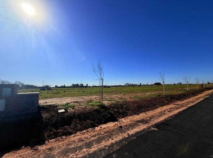Terreno · 950m²