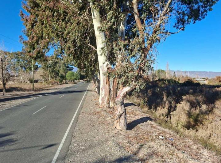 Terreno · 54418m²