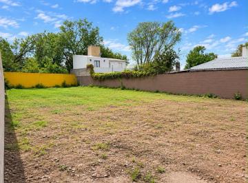 Terreno · 650m² · Venta | Terreno en Av Donato Álvarez | Potencial de Desarrollo