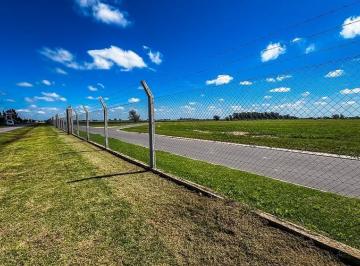 Terreno · 655m² · Venta/financiacion - Terreno 157 Vida Green, Funes