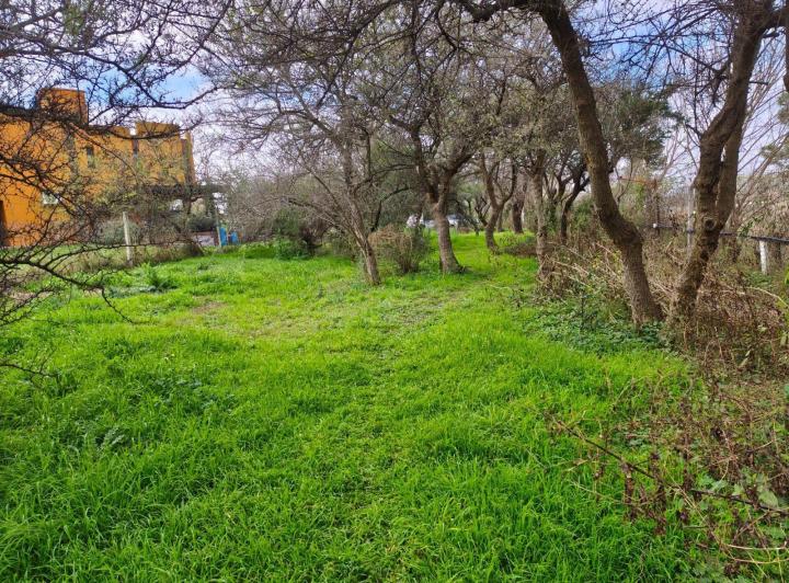 Terreno · 815m²