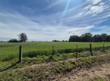 Campo · 15ha · Venta de Campo en Maciel