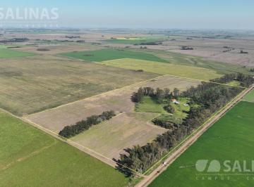 Campo · 400000ha · 4 Ambientes · 40 Ha Agrícolas con Casco en San Pedro