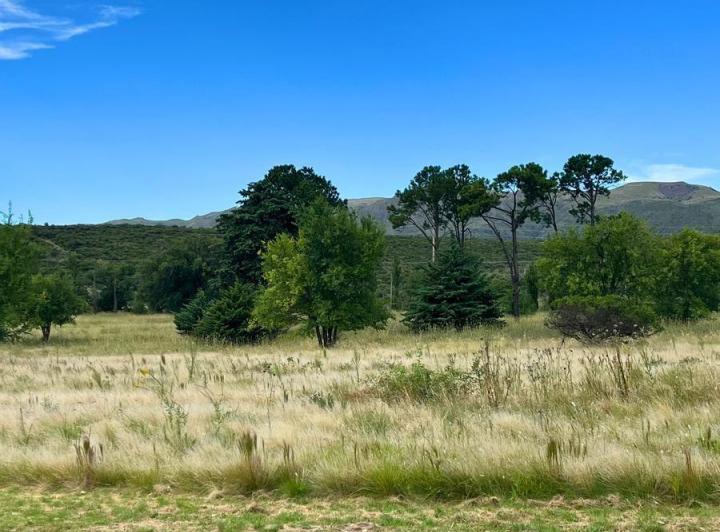 Terreno · 15320m²