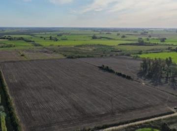Campo , Mercedes · Campo en Venta de m² Ubicado en Gowland