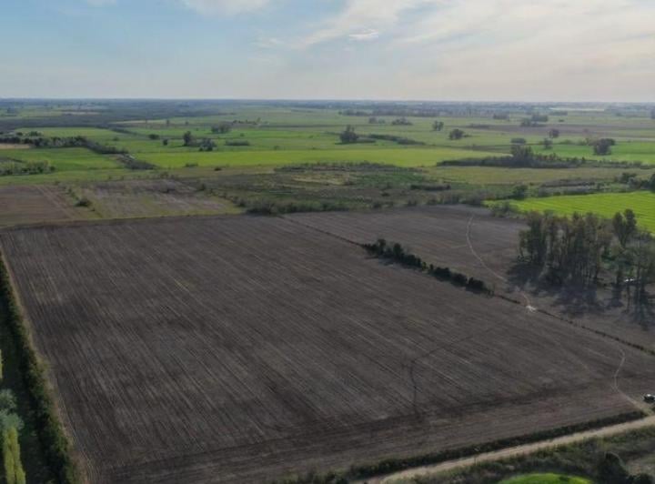 Campo · 144694m²