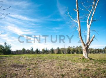 Terreno · 493m² · Lote en Venta Gorina