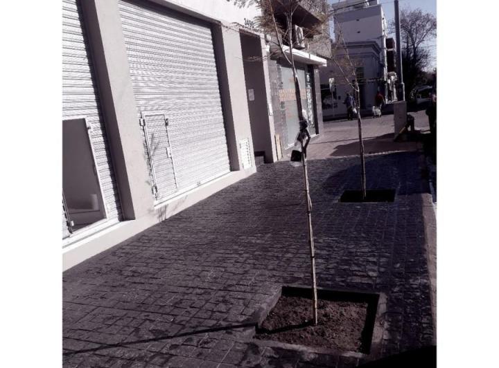 Local comercial · 36m² · 1 Ambiente