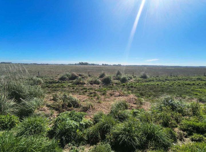 Terreno · 644m²