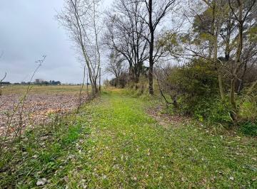 Campo · 289ha · Se Venden 2 Ha con Casa y Galpon Recreo Sur