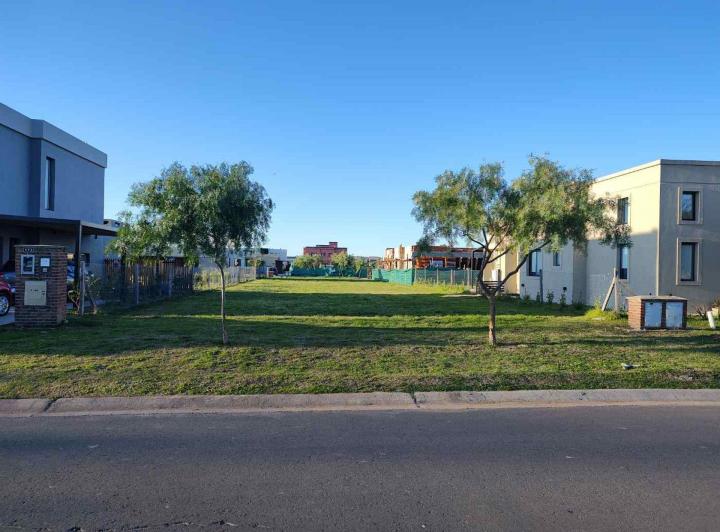 Terreno · 453m²
