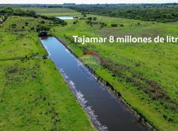 Campo · 4ha · Venta de Ha, Campo en Las Brujas, Canelones
