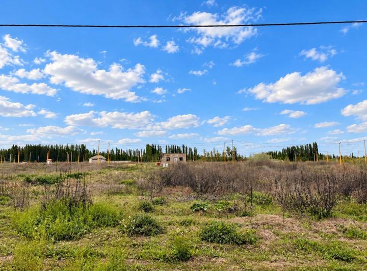 Terreno · 250m²
