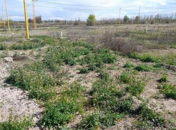 Terreno · 250m² · Terreno en Venta - Loteo La Rufina II - Cervantes