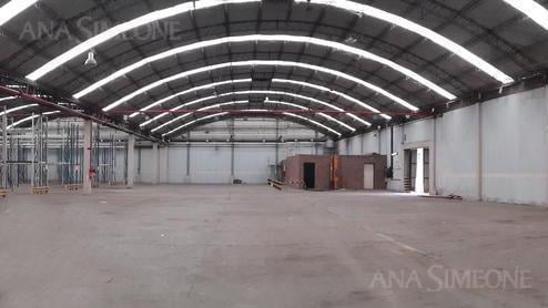 Bodega-Galpón · 1500m²