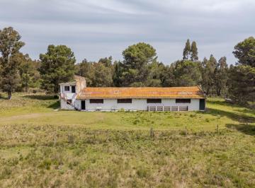 Campo · 350ha · Venta Campo, Soca, 8 Htas Vivienda Galpon